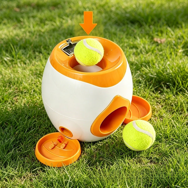 Lanzador Automático de Pelotas