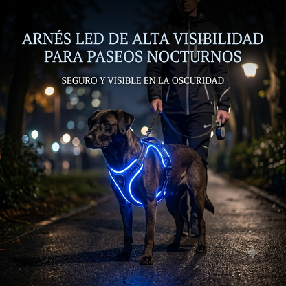 Arnés LED Recargable para Perros | Máxima Seguridad en Paseos Nocturnos
